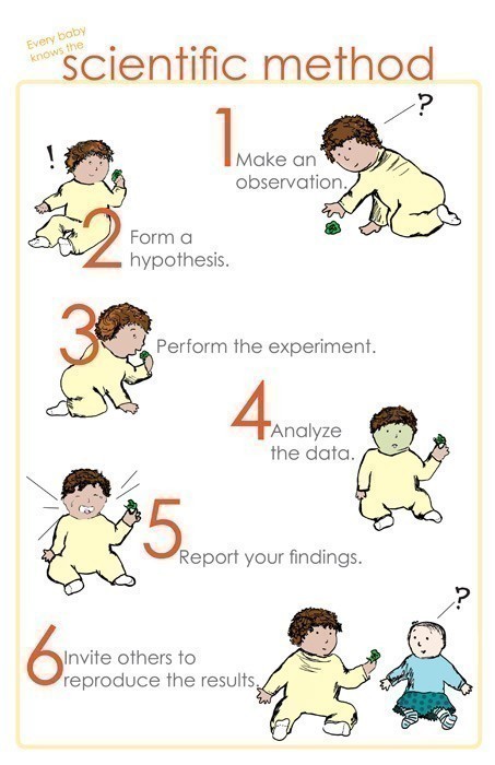 ‘Every baby knows the scientific method’ by electricboogaloo on Etsy