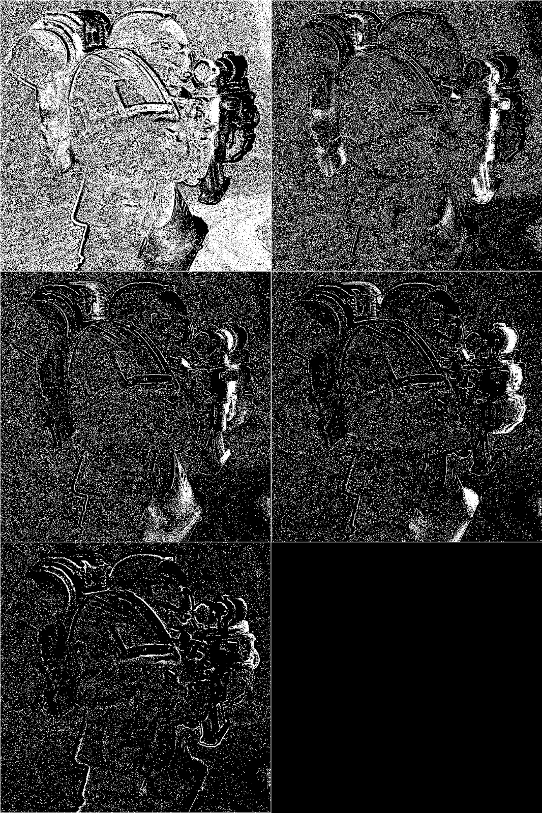 Masks generated by Enfuse (white areas in-focus).