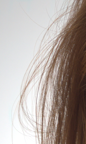Neutral Hair Detail Headshot GIMP Pat David tutorial