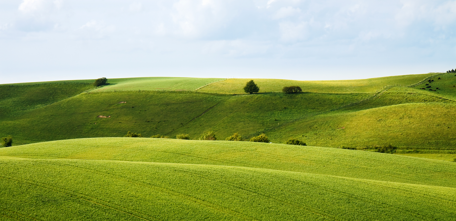 Brorfelde landscape by Stig Nygaard (cb) After adding an aggressive curve along with a mid-tone luminosity mask.