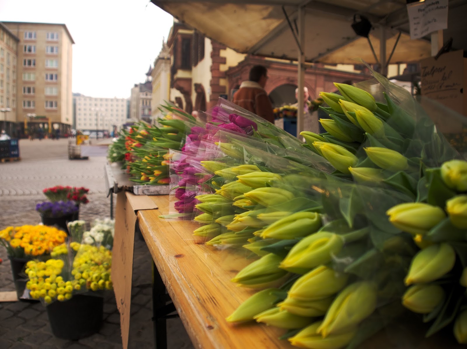 GIMP Leipzig LGM market flowers photowalk