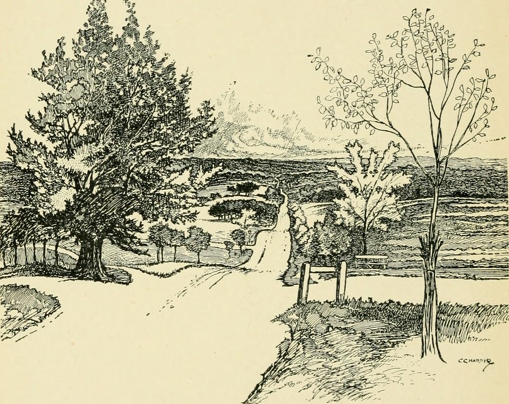 The Brighton Road